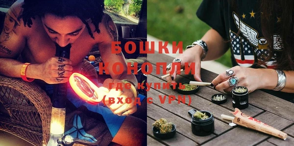 молекула духа Киреевск