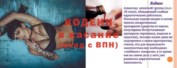 молекула духа Киреевск