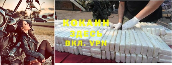 шишки Киренск