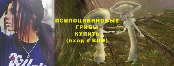 шишки Киренск