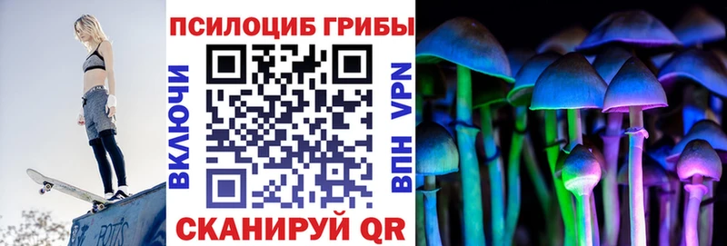 Псилоцибиновые грибы мицелий  наркотики  hydra зеркало  Орехово-Зуево 